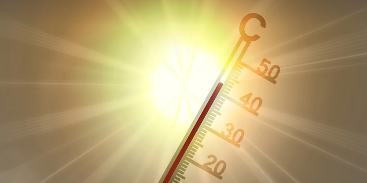Giugno 2025, il più caldo di sempre: l’agricoltura ha bisogno di soluzioni sempre più resilienti